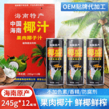 海南特产椰汁 椰盛245ml*12罐果肉椰子汁 植物蛋白饮料椰奶椰汁