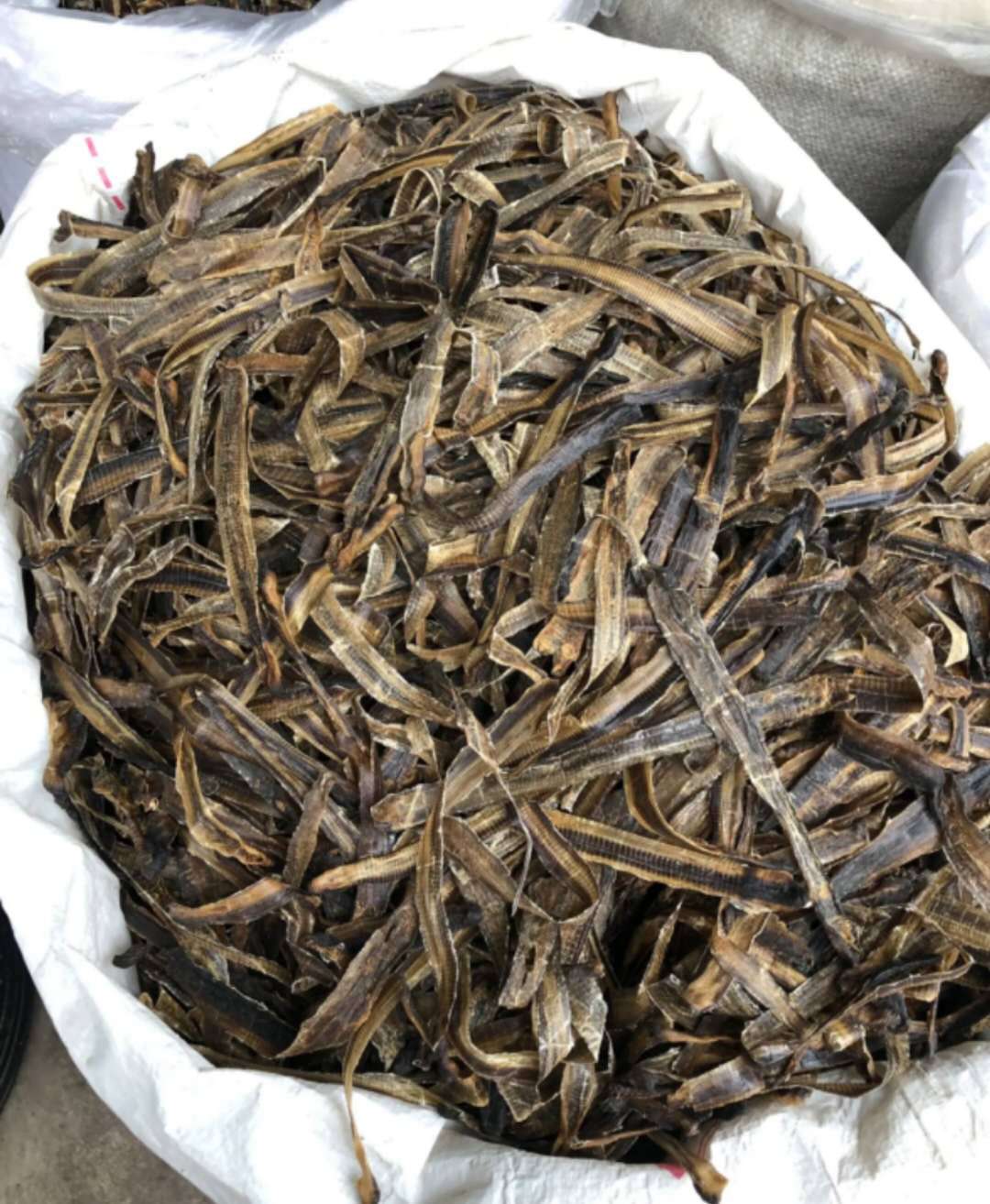 【海南地龙】-海南地龙厂家,品牌,图片,热帖-阿里巴巴