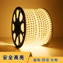 LED5050灯带 防水亮化工程装饰暖光白光三色七彩软长条灯2835灯条