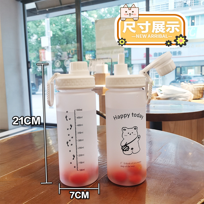 Creative Personality Trendy Girl's Heart Net Red Frosted Cup Straw Water Cup Female Glass Cute Portable Student Cup
