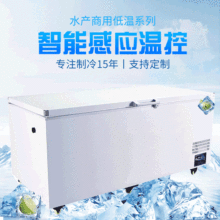 1000L 大冰柜海鲜冷冻柜商用工业食品零下-70度超低温卧式冷柜