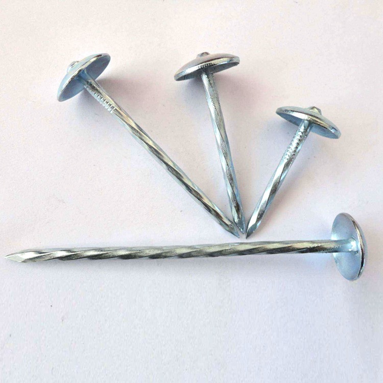 供应麻花瓦楞钉