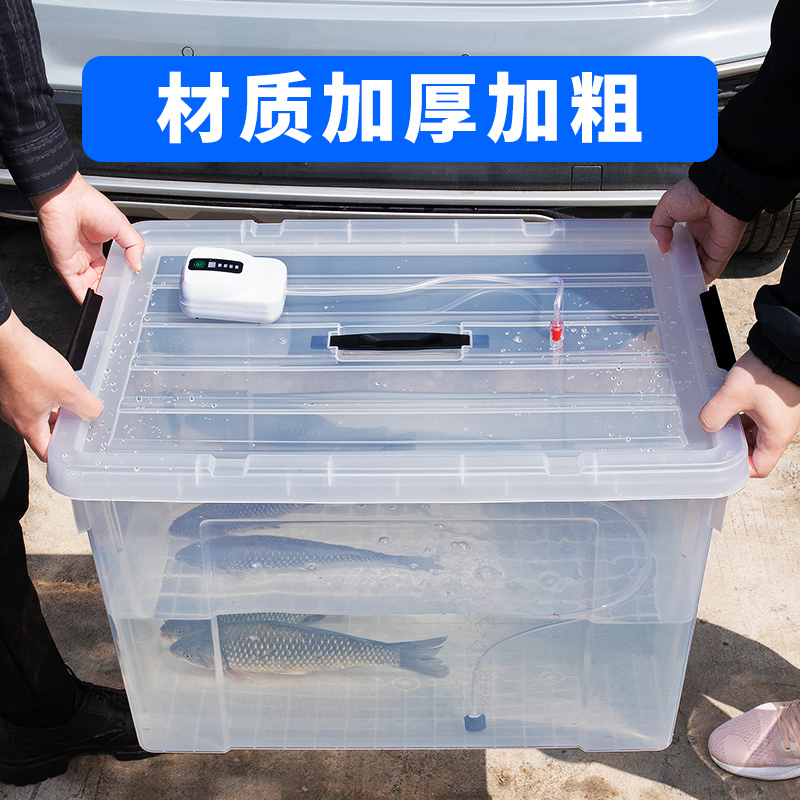 户外车载钓鱼箱后备箱活鱼桶大容量塑料箱加厚海鲜水产养殖箱鱼缸