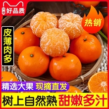广西沃柑9斤新鲜水果当季整箱一级沃柑砂糖皮薄甜柑橘桔子
