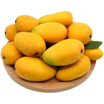 海南小台芒10斤整箱台农一号芒果应当季水果现摘5斤批发一件代发