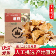 东北特产250克元蘑 长白山年货食用菌 干货菌菇人工挑选元蘑