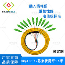 专业生产SC/APC SC/UPC方头12芯束状尾纤ODF熔接尾纤电信级