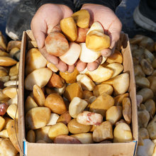 新疆天然玉石地表原料金丝玉籽料10公斤戈壁原石厂家直销
