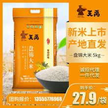 十月稻田寒地之最香稻贡米5kg东北大米香米十斤包邮