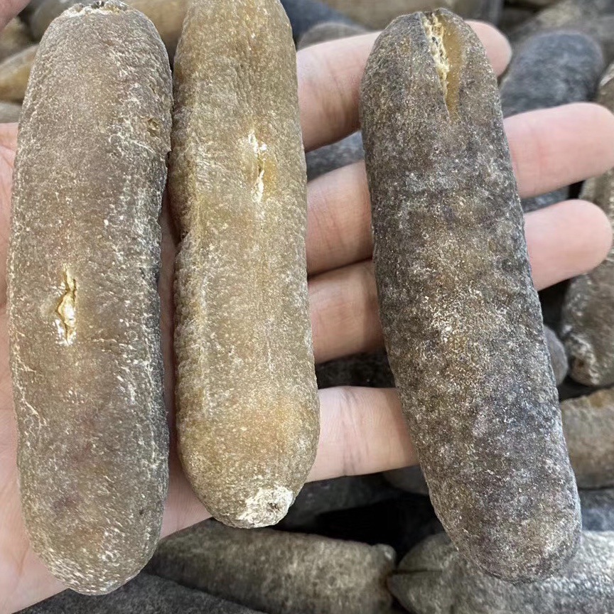 批发渠道深海天然野生海参澳洲光秃参秃参淡干海参产地直销-阿里巴巴