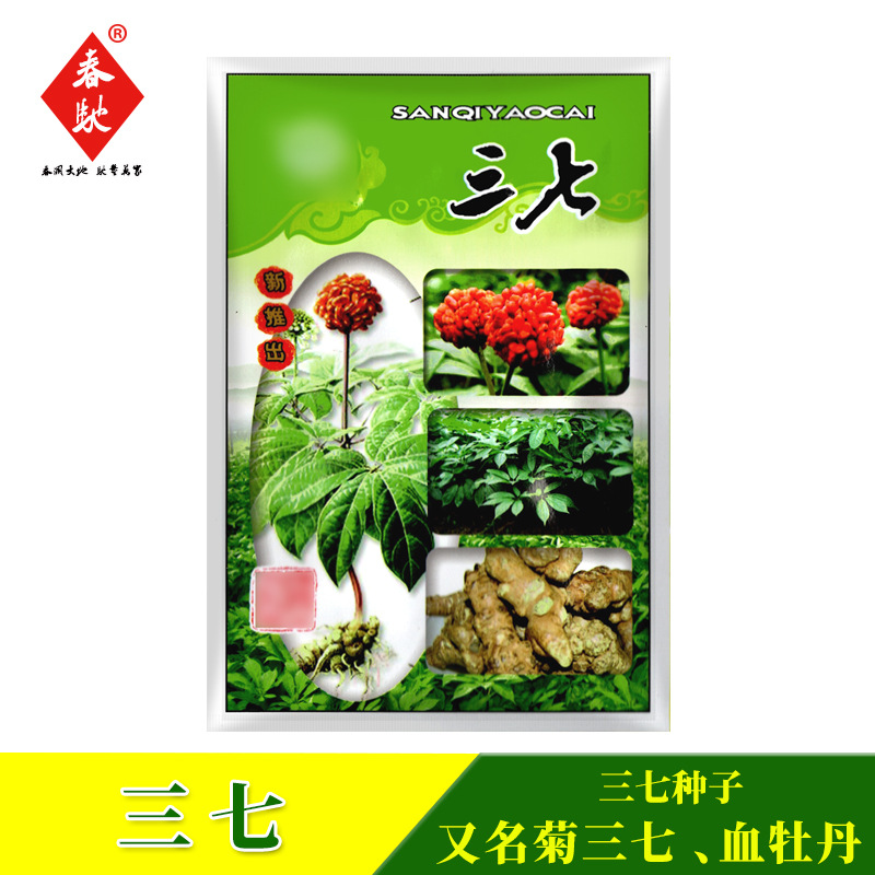 三七种子 约10粒 云南三七草 菊三七 血牡丹 田三七 中草药材种籽