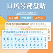 口风琴键盘贴简谱贴纸适用37键36键32键27键25键适用铃木