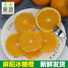 产地货源 湖南麻阳冰糖橙纯甜手剥橙子整箱5斤装应季时令水果批发