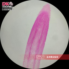 玉米根尖纵切   显微玻片 教学使用 生物切片标本