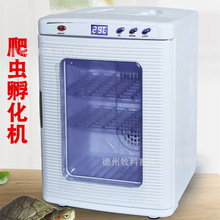 变色龙爬宠孵化盒IG蜥蜴龟孵化箱爬虫类专业孵化器恒温箱