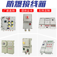 赛普IIC型400*400*180隔爆型接线配电箱 防爆电源监控防水箱IP65