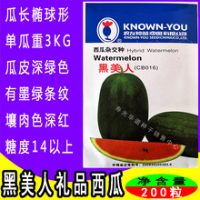 台湾农友黑美人礼品西瓜种子黑皮红壤小型礼品西瓜种籽种苗水果籽