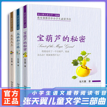 张天翼儿童文学宝葫芦的秘密/大林和小林/秃秃大王中小学生文学书