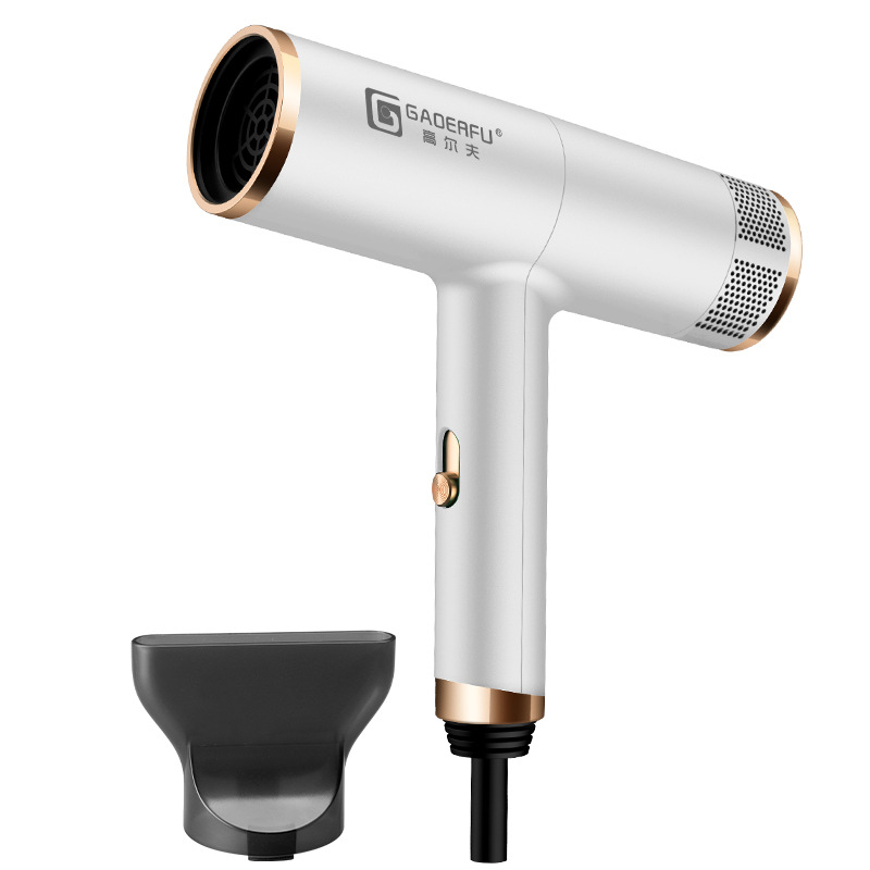 Electric Hair Dryer Anion Hair Care Hair Dryer Household Mute High-Power Hair Salon Dedicated for Hair Stylist