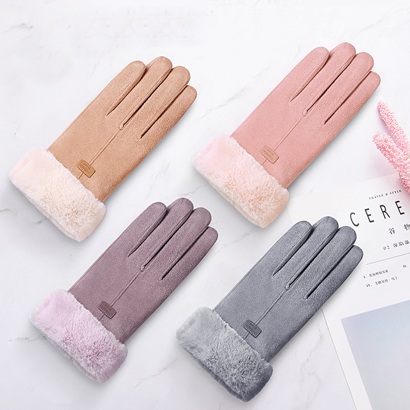 Cross-Border Factory Wholesale New Women's Winter Suede Composite Bejirog Thickened Touch Screen Thermal Gloves