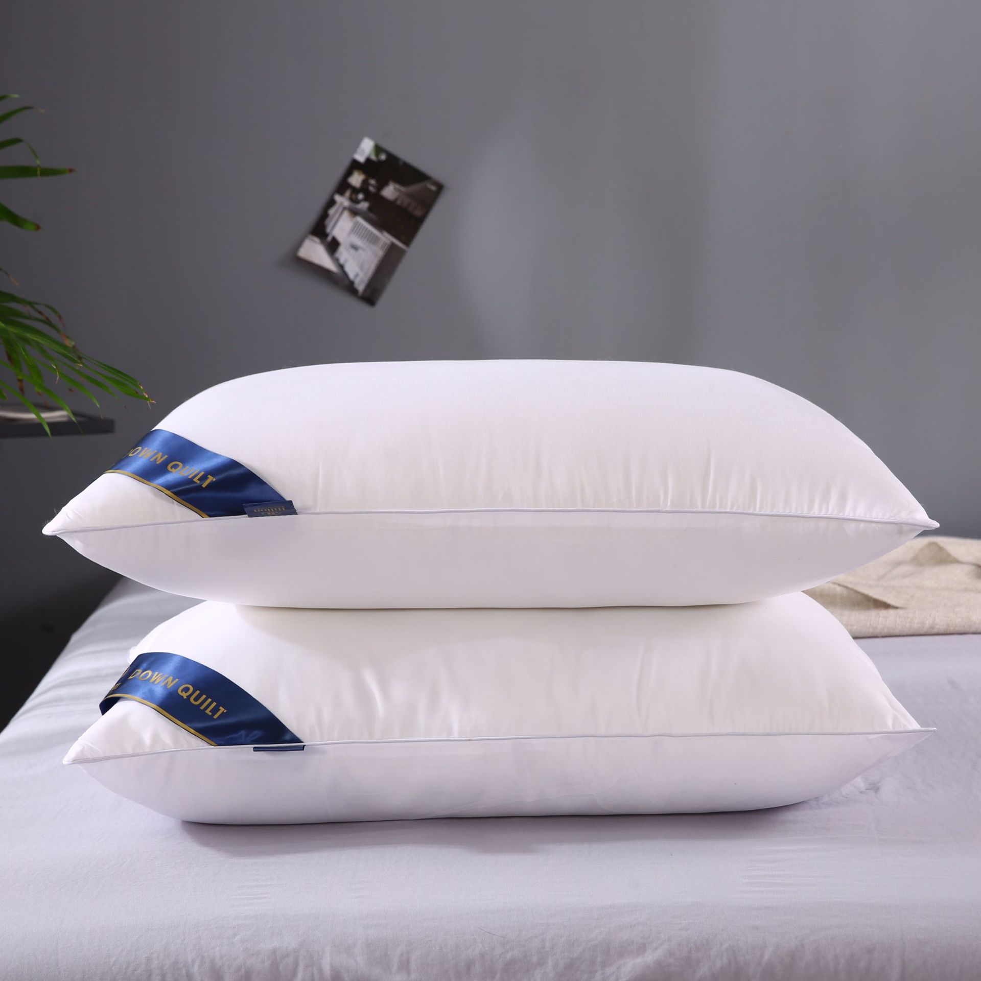 Five-Star Hotel Feather Fabric Pillow Interior Pillow Direct Sales Exhibition Gift Wechat Wholesale One Piece Dropshipping