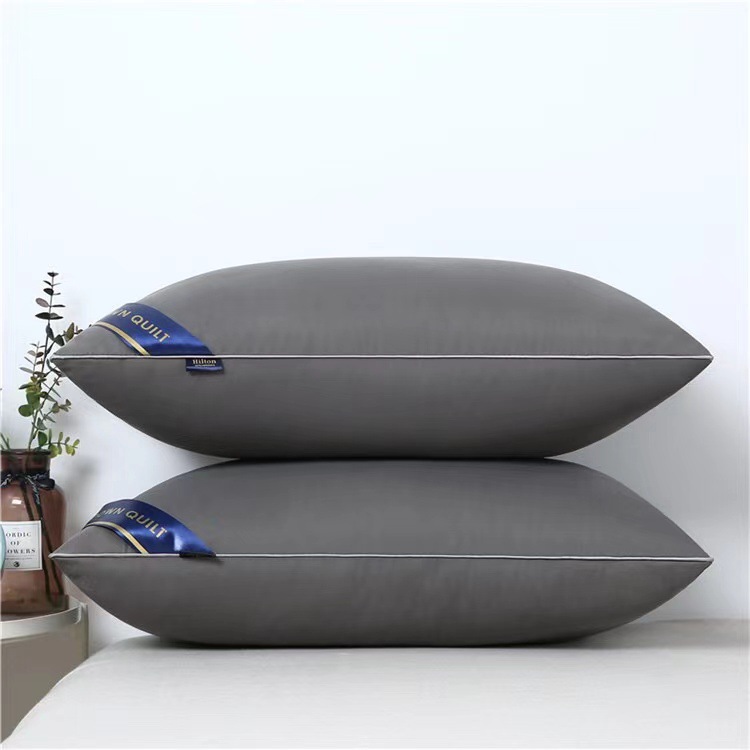 Five-Star Hotel Feather Fabric Pillow Interior Pillow Direct Sales Exhibition Gift Wechat Wholesale One Piece Dropshipping