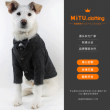 找工厂宠物服小单定制 猫狗宠物用品四季衣服加工来图来样打版