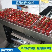 速科定制 水果圣女果小番茄气调包装机 充氮气保鲜食品封口机