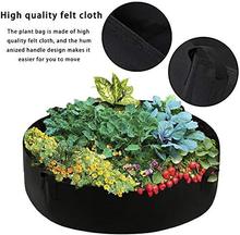 超大面料凸起种植床圆形花盆种植袋花园床袋草本花卉蔬菜植物