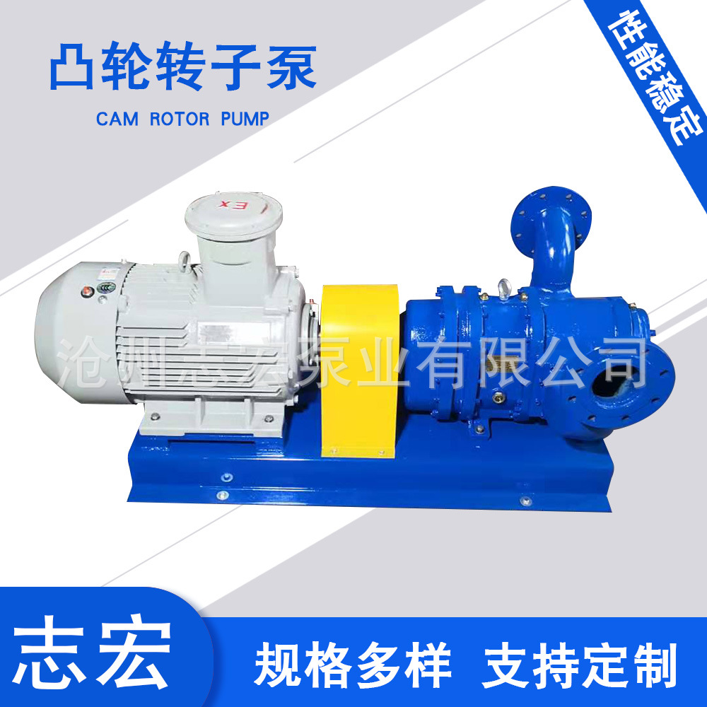凸轮转子泵 凸轮高粘度泵 不锈钢转子泵 转子泵输送高浓度物料泵