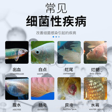 水族鱼缸消毒专用制剂鱼药烂身烂尾烂鳍细菌性鱼病康复药