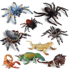 儿童科教仿真动物模型玩具蝎子蜥蜴蜈蚣巨蜥变色龙塑胶万圣节摆件