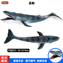 儿童科教仿真海洋生物动物模型静态大号蓝鲸鲨大白鲨玩具摆件手办
