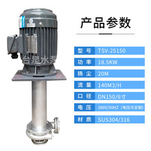 酸洗立式槽内外泵TSV-25150 台泉牌不锈钢耐腐蚀液下泵 DN150