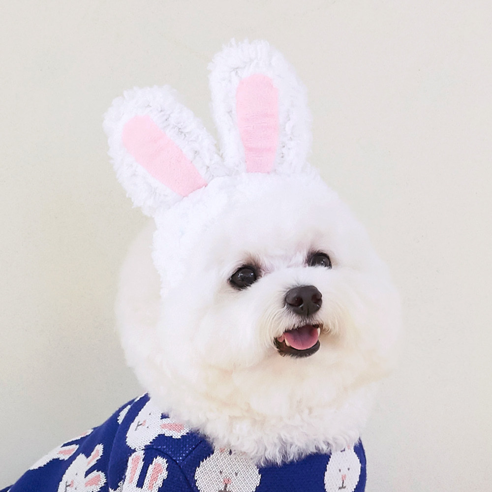 ins爆款韩国超可爱兔耳朵狗狗帽子保暖秋冬 宠物猫咪小型犬变装