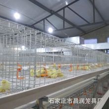 厂家直销镀锌防锈3层立体全自动清粪肉鸡笼 H型雏肉两用鸡笼批发