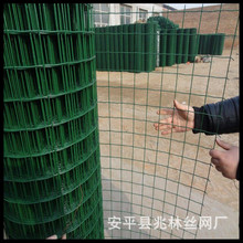 厂家供应荷兰网养鸡网圈地养殖圈果园围栏鱼塘隔离栅浸塑铁丝网