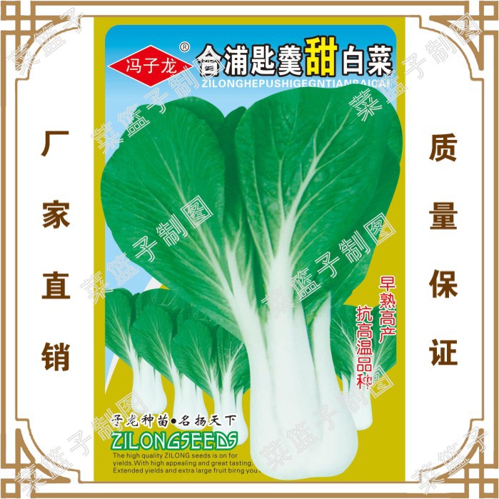 盆栽种子 合浦匙羹甜白菜 阳台庭院大棚春夏播种原厂彩袋装蔬菜