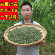 2023年今年新三七花田七花 云南文山2年3年4年三七花茶农家三七