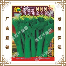 新西兰888油青甜菜心玉  喜良种子公司直售批零大田基地种植蔬菜