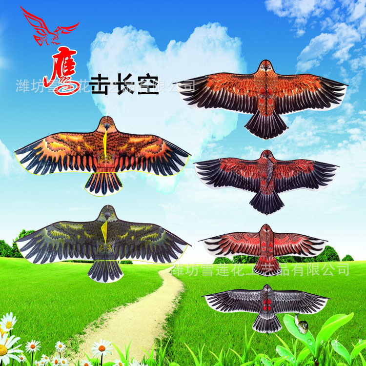 潍坊平面鹰风筝规格多种 前杆 风兜 老鹰风筝 好飞厂家批发