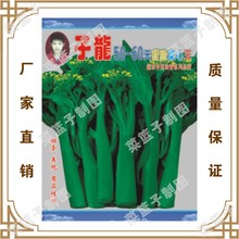 子龙50-60天甜脆菜心玉  冯子龙种苗公司直售批零种植蔬菜种子