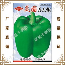 冯子龙种苗公司直售批零种植 美国西元椒   大棚 阳台盆栽种植