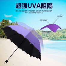 厂家批发创意三遇水开花变色手动晴雨伞折八骨黑胶广告伞数码印花