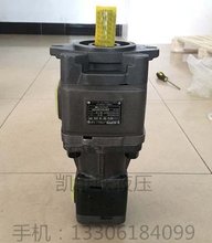 齿轮油泵HG0-8-01R-VSC