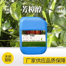 广东发货香樟树 小叶香樟 芳樟树 樟木子树 乌樟驱蚊虫室内外盆栽