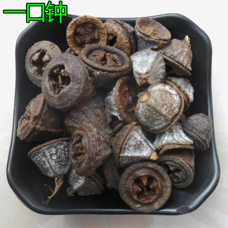 中药材一口钟 一口盅 红嗽叭花 胜利果 金钟菩提 红喇叭花 扣子七