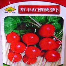 批发蔬菜类种子常丰水果红樱桃萝卜种子阳台菜园白萝卜四季红萝卜