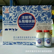 直销头孢粉针兽用头孢噻呋钠粉针批发国标兽药注射用0.5克头孢猪