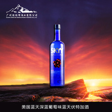 美国蓝天深蓝葡萄味蓝天伏特加酒V-0080058